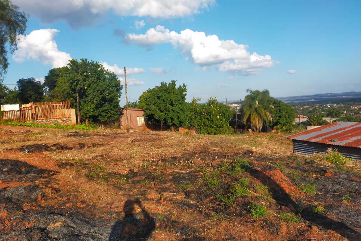 A view of a vacant residential plot featuring mature trees, perimeter fencing, and a small corrugated metal structure on the property.