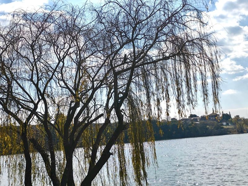 Small Holding For Sale in Vaal Bank, Meyerton - Photo 3