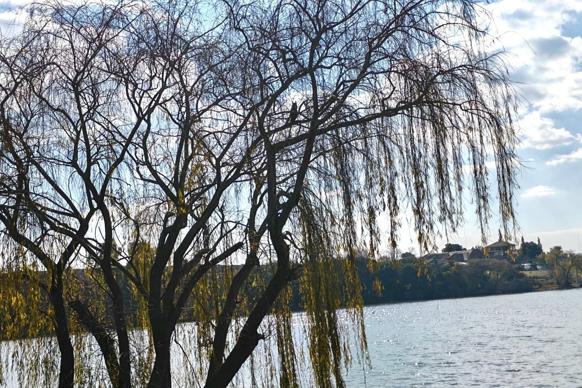 Small Holding For Sale in Vaal Bank, Meyerton - Photo 3