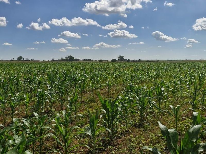 Farm For Sale in Bapsfontein, Bronkhorstspruit - Photo 7