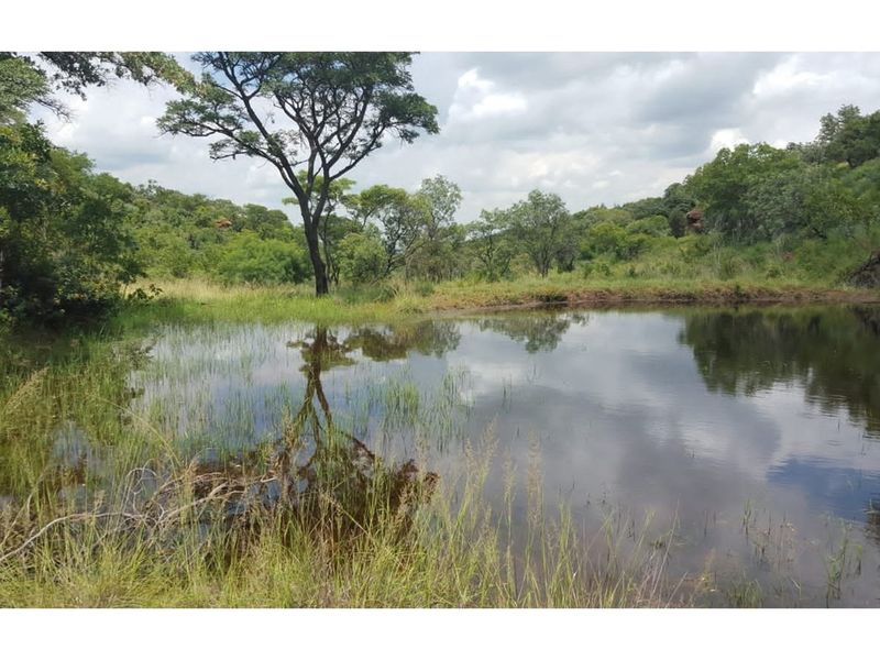 5 Bedroom House Plus Rondavel on lovely 23 Ha Farm - Photo 1