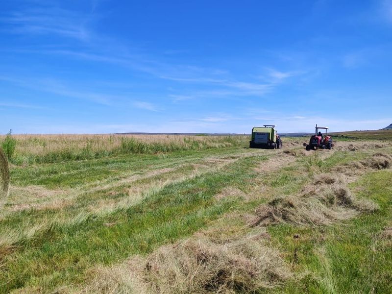 Farm For Sale in Bathurst - Photo 7