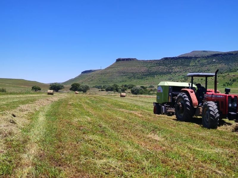 Farm For Sale in Bathurst - Photo 5