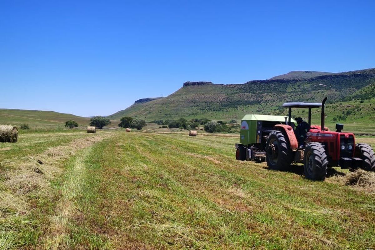 Farm For Sale in Bathurst - Photo 5