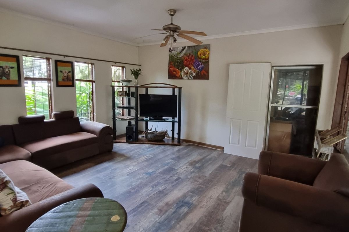 A spacious living room featuring wood-look laminate flooring, a ceiling fan, and large windows that provide ample natural light.