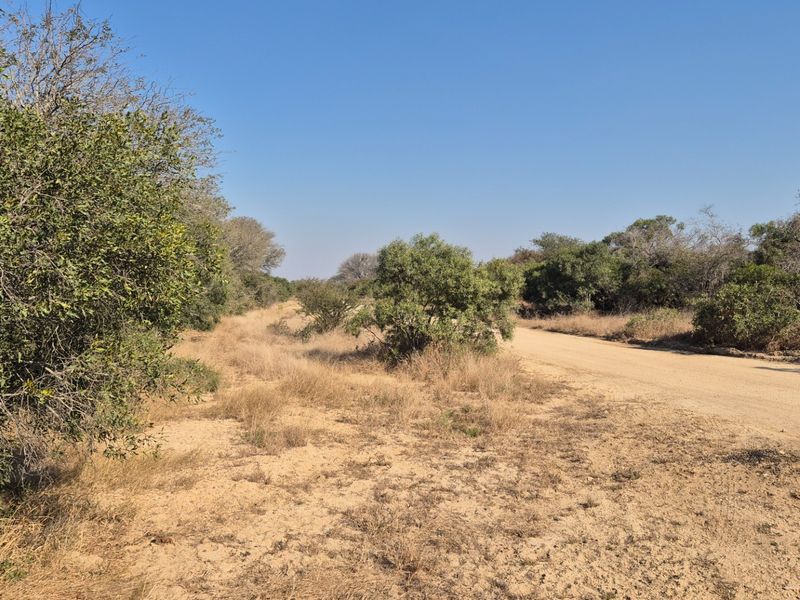 Modern Brand Knew House For Sale Moditlo Wildlife Estate, Hoedspruit - Photo 7
