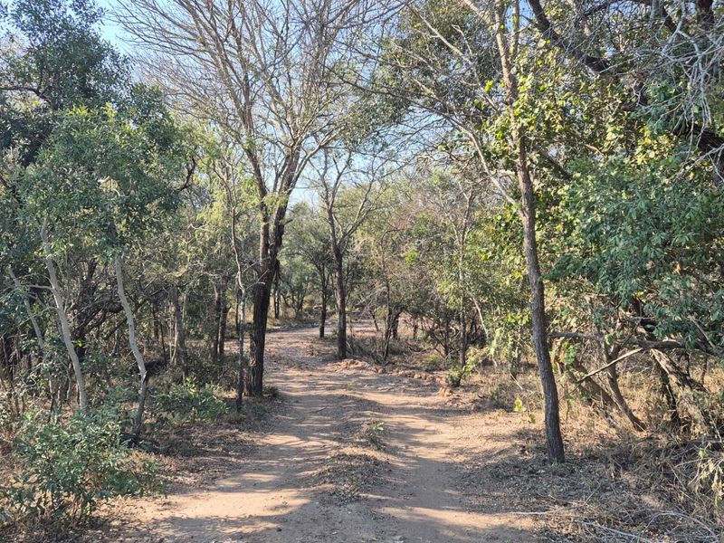 Modern Brand Knew House For Sale Moditlo Wildlife Estate, Hoedspruit - Photo 6