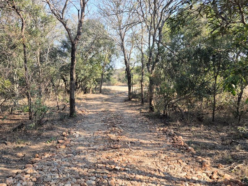 Modern Brand Knew House For Sale Moditlo Wildlife Estate, Hoedspruit - Photo 8