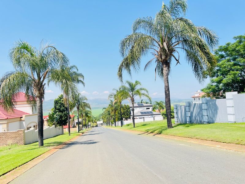A view looking down a paved residential street lined with palm trees, manicured lawns, and established residential properties in a suburban estate.
