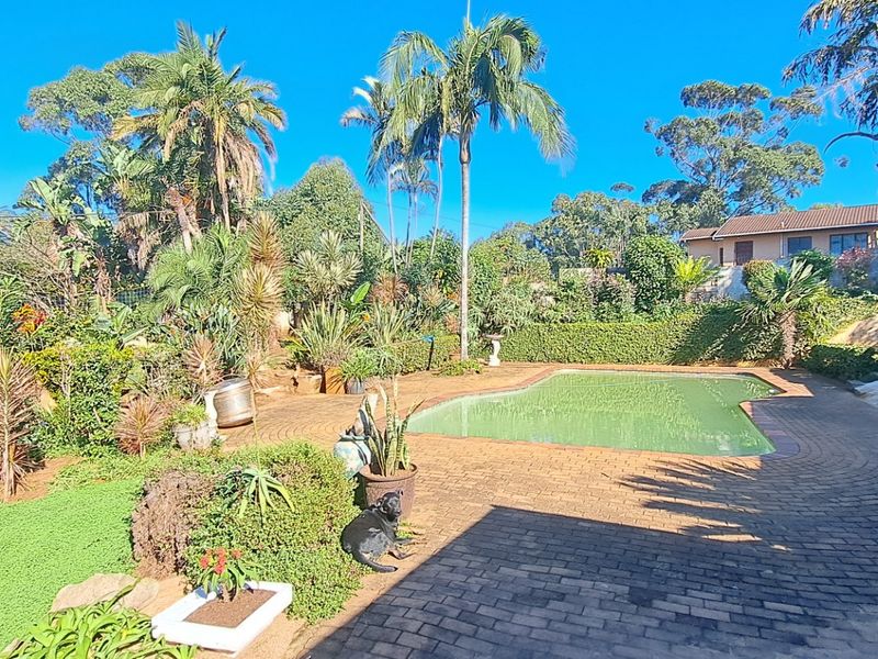 A spacious outdoor pool area featuring a paved patio surround and established garden landscaping.