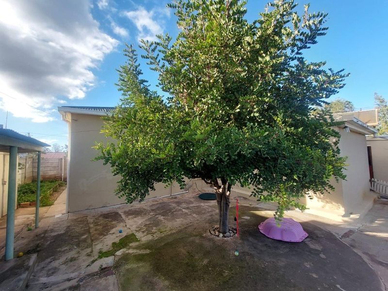 A rear exterior view of the property featuring a paved courtyard area with a large mature tree and surrounding building walls.