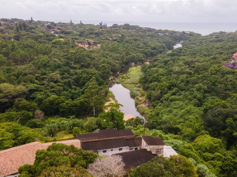 Aerial view of the property featuring a multi-pitched roof structure, surrounded by dense natural forest and a river landscape.