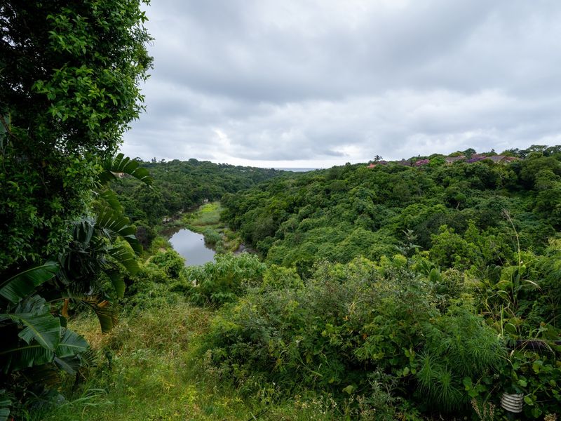 A scenic elevated view overlooking a lush green valley with a river and dense natural vegetation.