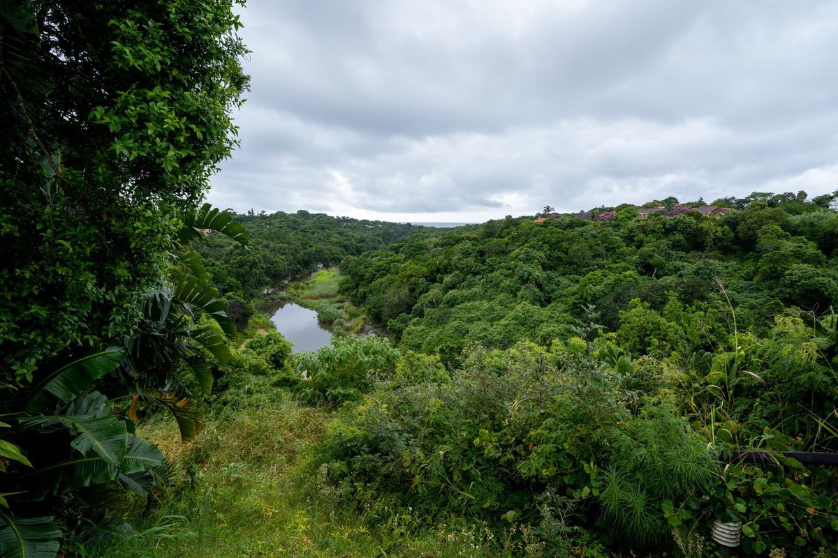 A scenic elevated view overlooking a lush green valley with a river and dense natural vegetation.