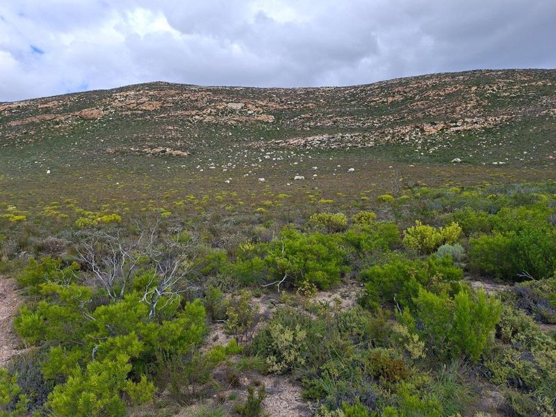 Farm For Sale in Riversdale Rural, Riversdale - Photo 10