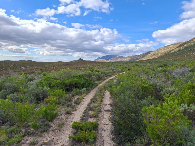 Farm For Sale in Riversdale Rural, Riversdale - Photo 6