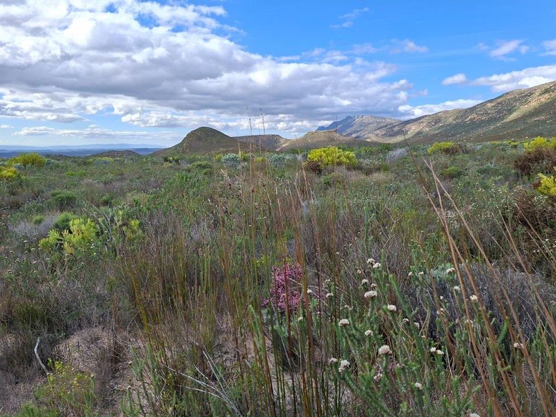 Farm For Sale in Riversdale Rural, Riversdale - Photo 3