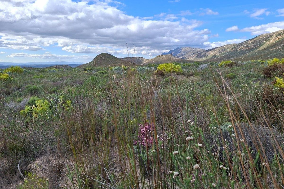 Farm For Sale in Riversdale Rural, Riversdale - Photo 3