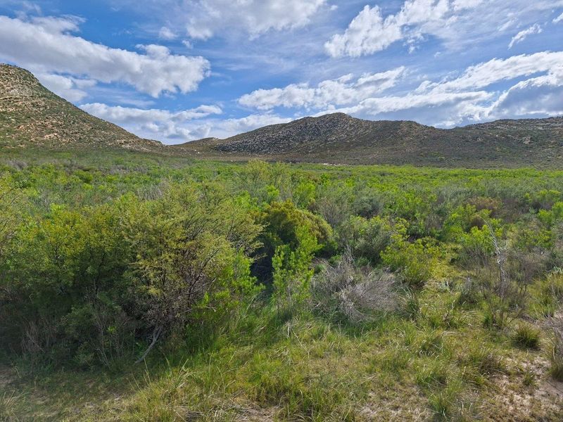 Farm For Sale in Riversdale Rural, Riversdale - Photo 5