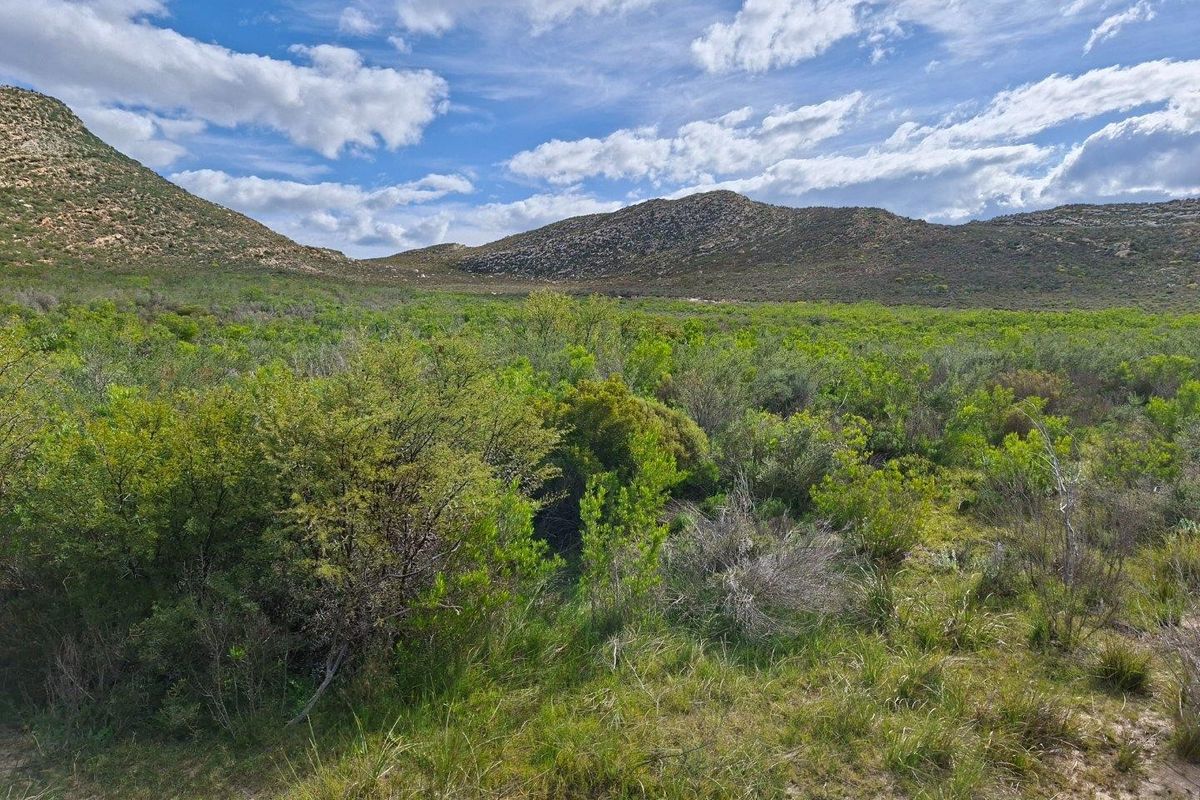 Farm For Sale in Riversdale Rural, Riversdale - Photo 5