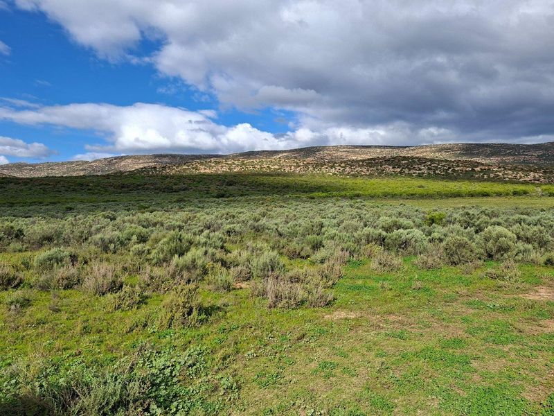 Farm For Sale in Riversdale Rural, Riversdale - Photo 8