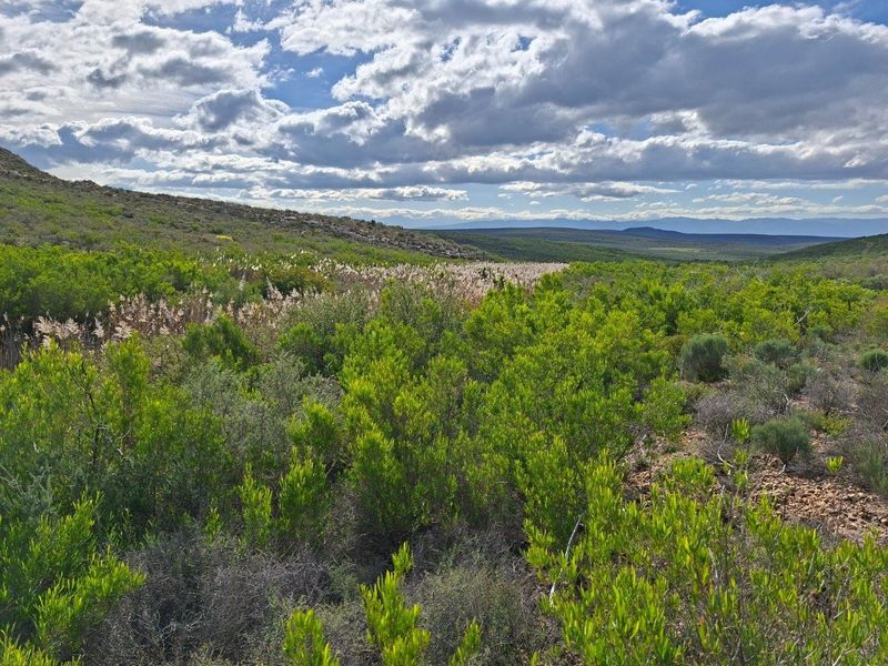 Farm For Sale in Riversdale Rural, Riversdale - Photo 4