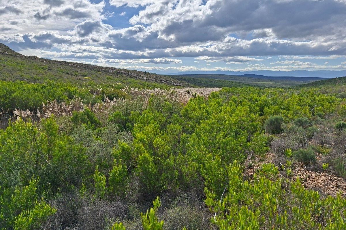 Farm For Sale in Riversdale Rural, Riversdale - Photo 4