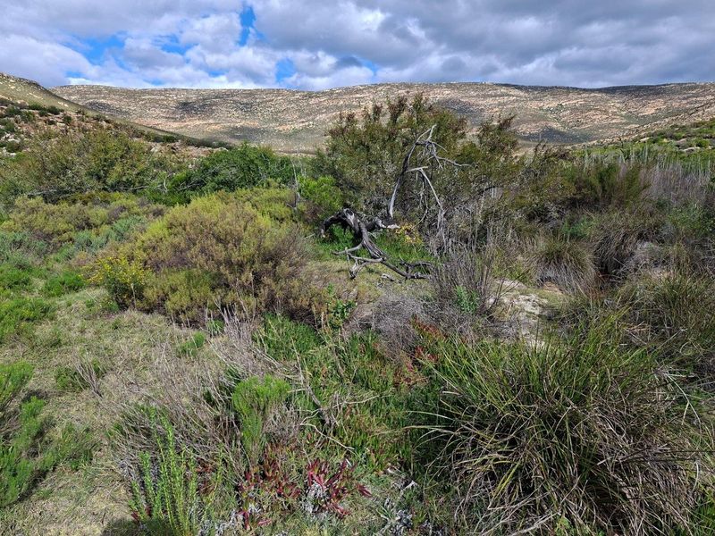 Farm For Sale in Riversdale Rural, Riversdale - Photo 2