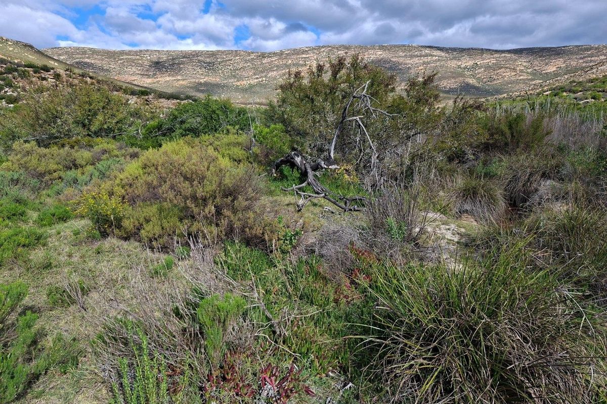 Farm For Sale in Riversdale Rural, Riversdale - Photo 2