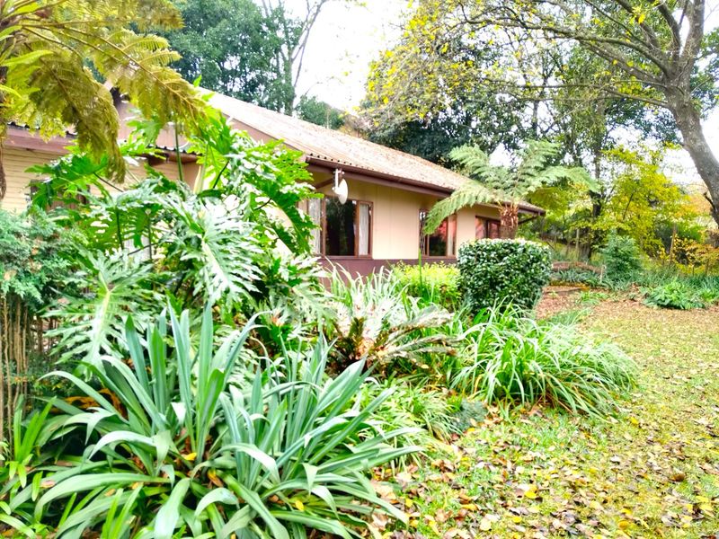 HOUSE FOR SALE IN SABIE - Photo 3