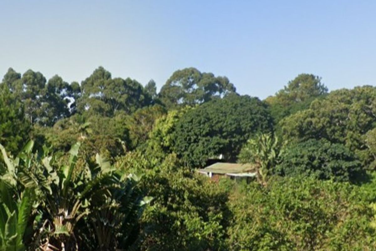 Ready to Build 4.6Ha Multi-Unit Residential Site with Immediate Income | Uvongo - Photo 2