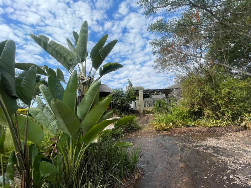 A natural garden setting featuring mature trees, lush greenery, and rocky terrain leading towards the property structure.