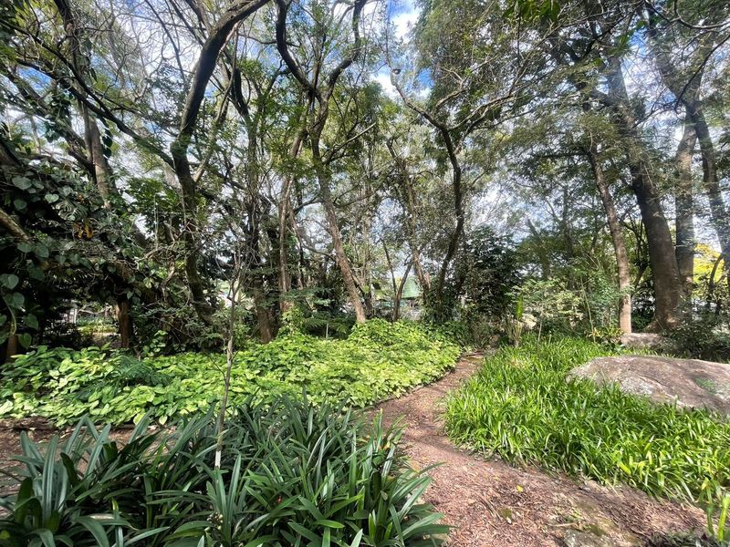 A lush, established garden area featuring mature trees, dense ground cover, and a natural pathway winding through the landscaped grounds.