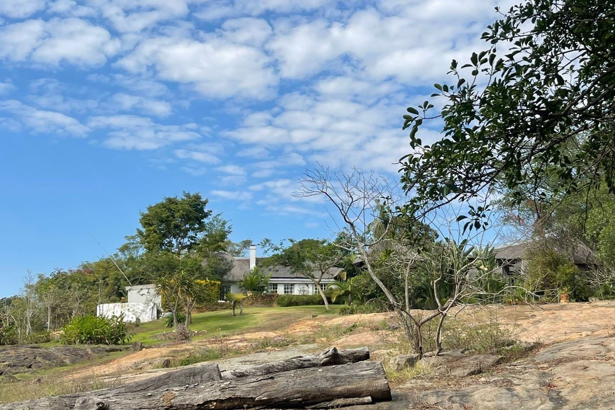 A view of the rear elevation of a house with a thatched roof, set within a spacious, landscaped garden area.