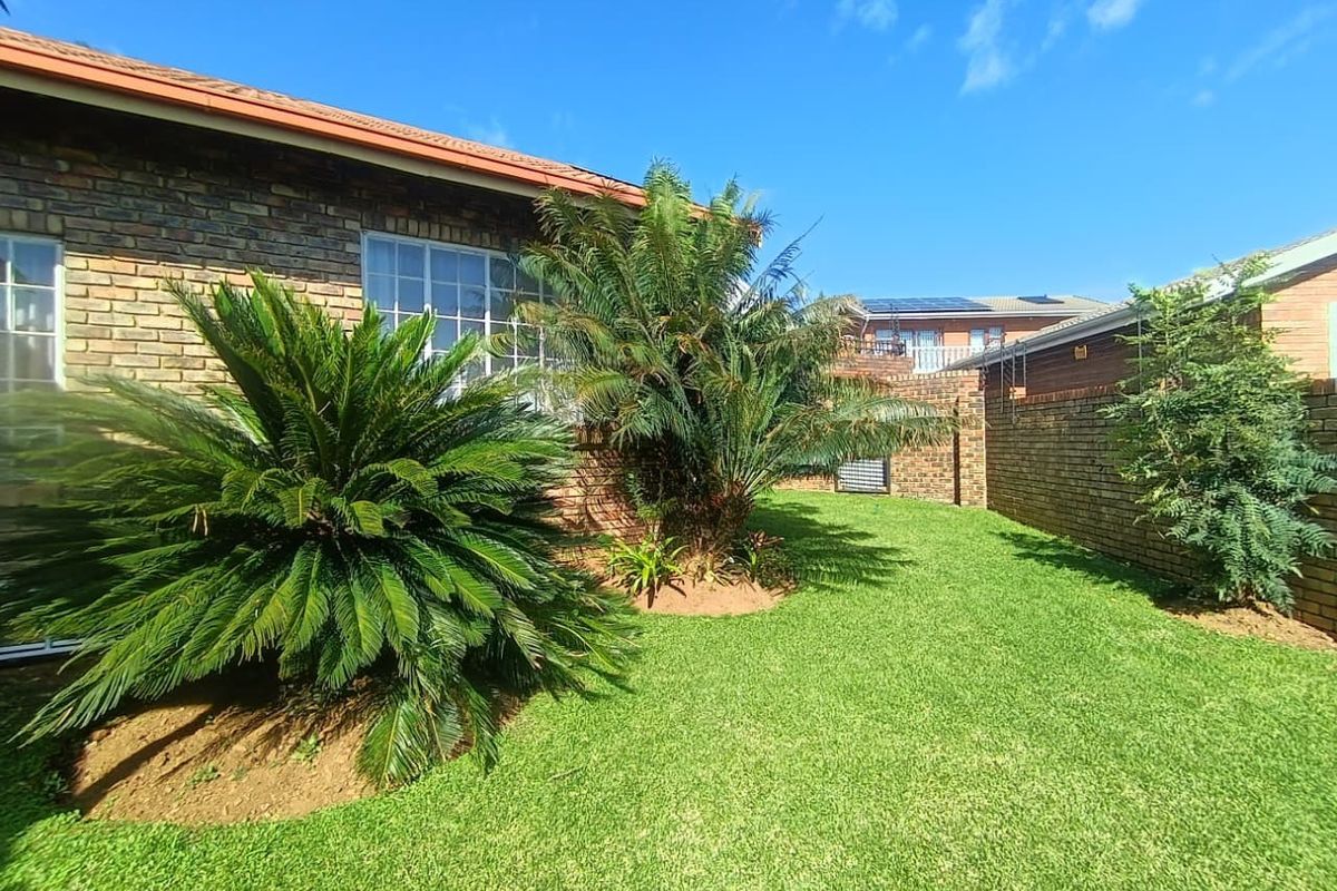 A well-maintained rear garden area featuring established cycad plants, a manicured lawn, and brick boundary walls.