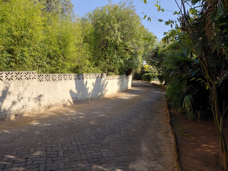 A paved driveway leading through a lush, mature garden, bordered by a decorative concrete block boundary wall and dense established trees.
