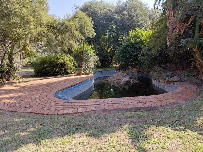 A neglected swimming pool area featuring brick paving and mature garden surroundings, currently requiring significant maintenance and restoration.