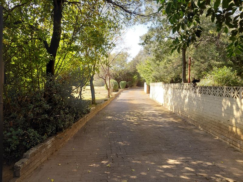 A paved driveway leading through a mature, tree-lined garden, featuring a decorative concrete block boundary wall and established landscaping.
