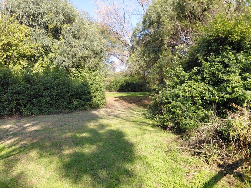 A view of a natural, overgrown garden area on the farm property, featuring mature trees and established shrubbery.
