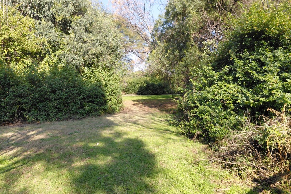 A view of a natural, overgrown garden area on the farm property, featuring mature trees and established shrubbery.
