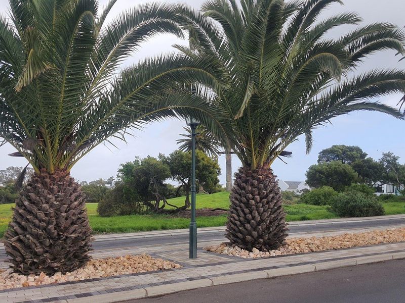 Big Value. Bigger Lifestyle @ Shelley Point Golf Estate - Photo 1