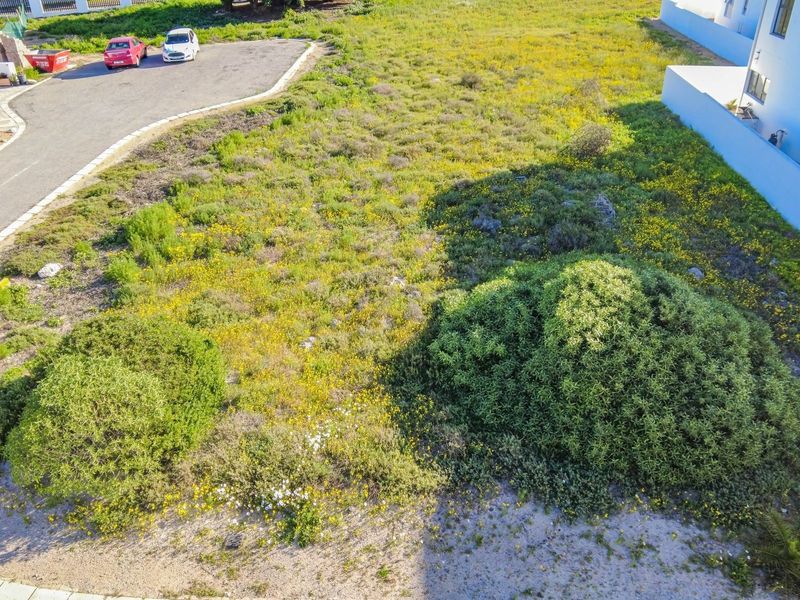 An aerial view of a vacant residential plot featuring natural vegetation and adjacent paved access road.