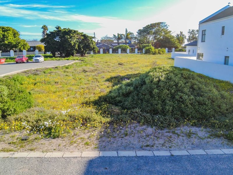 A vacant residential plot of land featuring natural vegetation, bordered by a paved road and adjacent residential boundary walls.