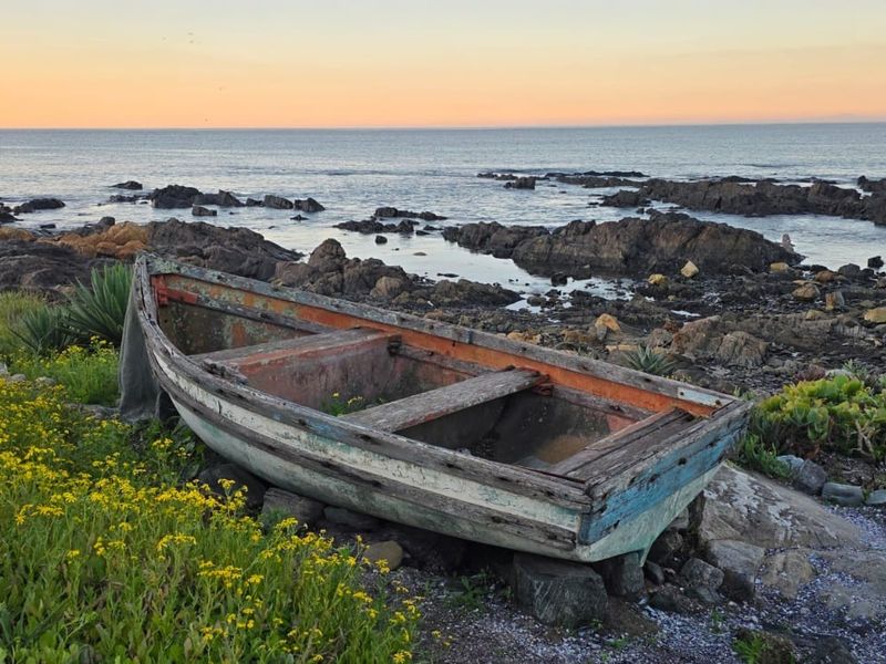 A scenic view of the rocky coastline at sunset, featuring natural vegetation and an old boat resting on the shore.