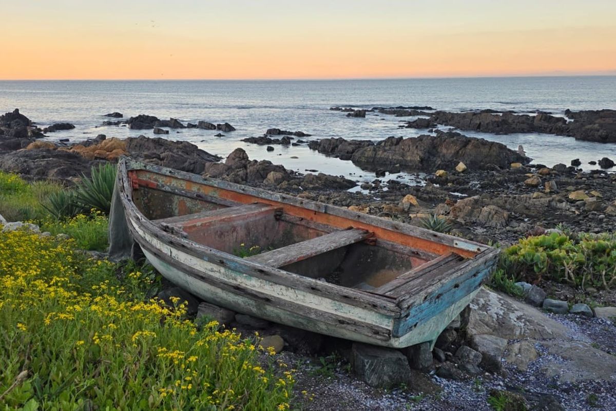 A scenic view of the rocky coastline at sunset, featuring natural vegetation and an old boat resting on the shore.