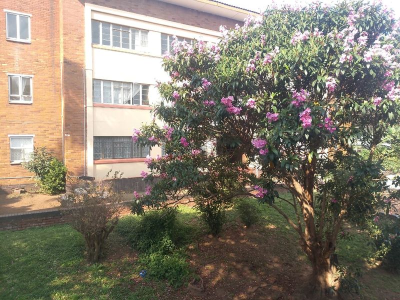 3 bedroom Apartment For Sale in Umbilo, Durban, KwaZulu Natal - Photo 1