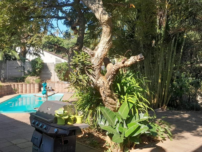 FAMILY HOME SET IN TROPICAL GARDEN OR DEVELOPERS OPPORTUNITY FOR SALE WESTBROOK KZN - Photo 10