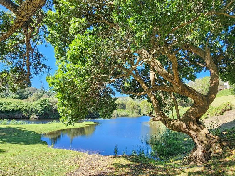 Premium hospitality asset , on the riverside, in the Garden Route. - Photo 4