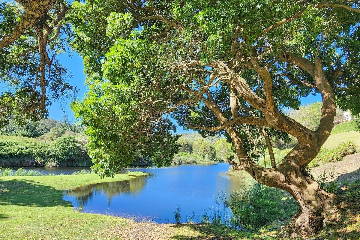 Premium hospitality asset , on the riverside, in the Garden Route. - Photo 4