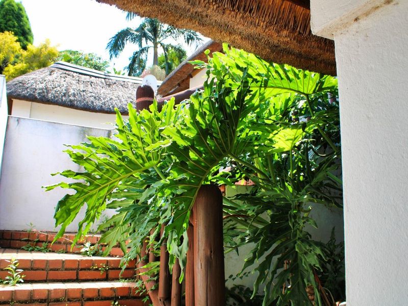 House For Sale in Waverley, Pretoria - Photo 3